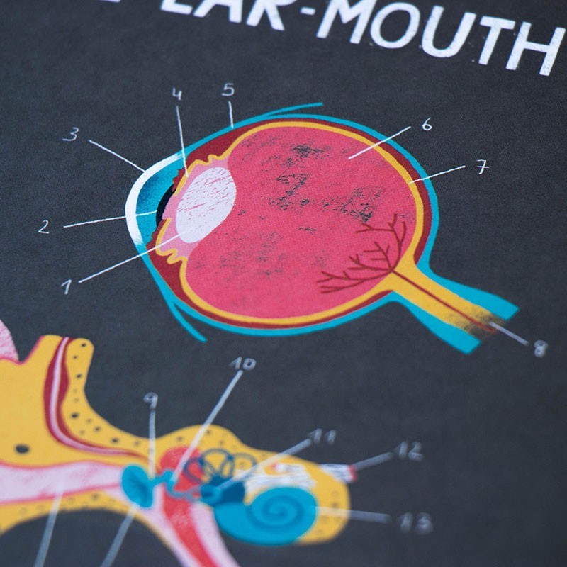 Educational game of the human body